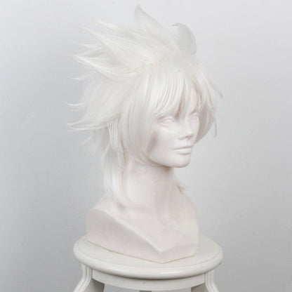 Fate/Apocrypha Amakusa Shirou Tokisada Short White Anime Cosplay Wigs