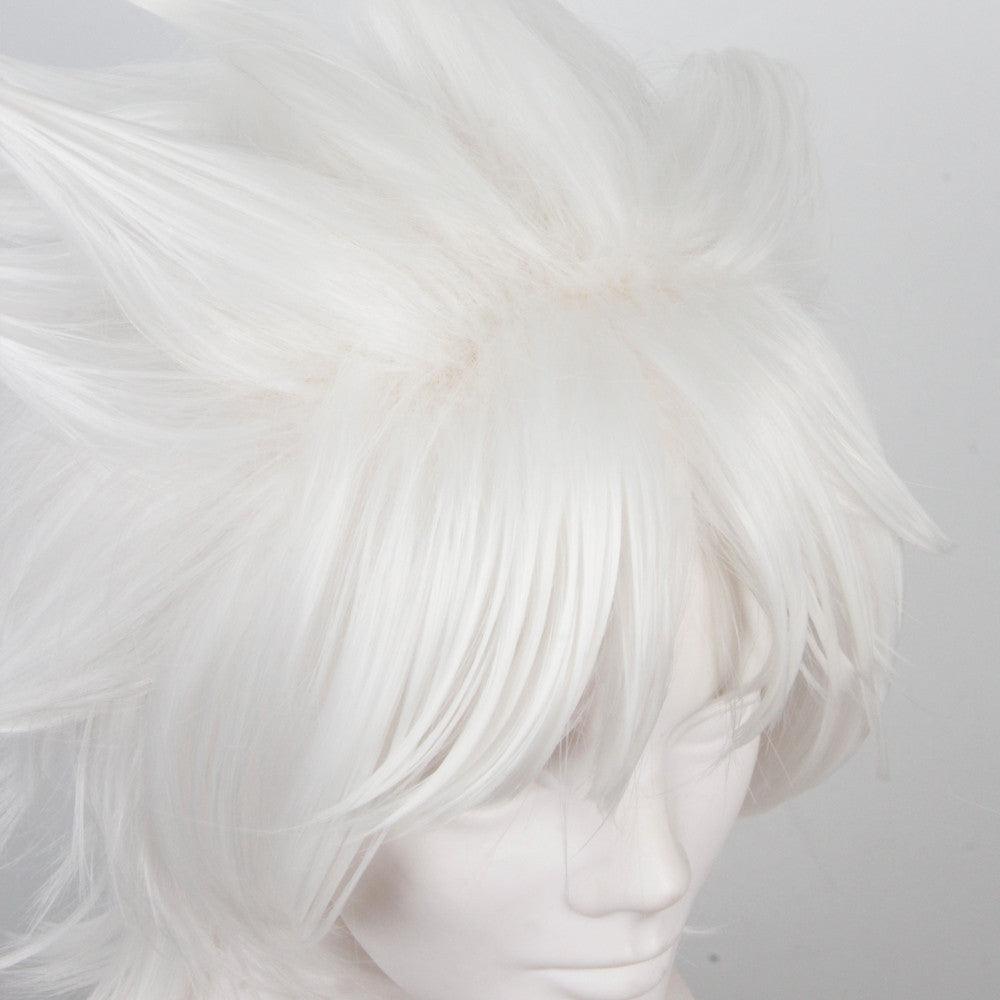 Fate/Apocrypha Amakusa Shirou Tokisada Short White Anime Cosplay Wigs